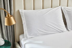 篠原化学｜Shinoharakagaku ピロープロテクタークラシック ホワイト CL-4363-WH [43×63cm枕用 /ファスナータイプ]