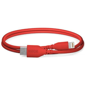 RODEb[h 30cm USB-C - LightningP[u bh SC21-R