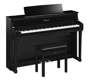 YAMAHAb}n dqsAm ʉo CLP-875PE [88]