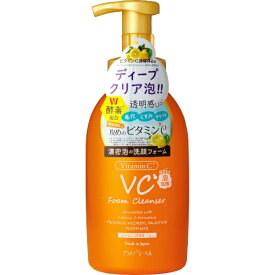 DOSHISHA｜ドウシシャ PLATINUM LABEL（プラチナレーベル）VC酵素配合泡洗顔 本体 450mL