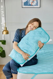 篠原化学｜Shinoharakagaku ドライミングクール枕パッド　2枚組　ピンク DRY-CL-2P4060-20-PK ピンク [まくら用 /クール敷パッド]