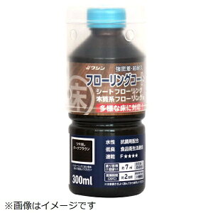 Washin PaintbaMyCg 910464 t[OR[g 300ml DBR