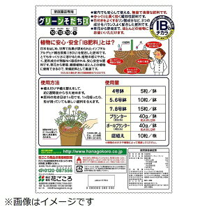 【エントリーで最大全額ポイント還元|11/5迄】 花ごころ 花ごころ IBのチカラグリーンそだちEX 1.4kg