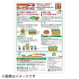 花ごころ 花ごころ 甘いイチゴをつくる土 12L