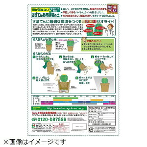 Ԃ Ԃ ڂĂ񑽓A̓y 5L