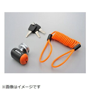 fCgibDAYTONA XgK[RpNgfBXNbN 94883