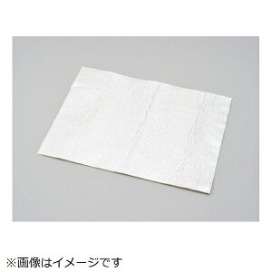 fCgibDAYTONA fMOXE[ A~V[gt 300mm×400mm 96243