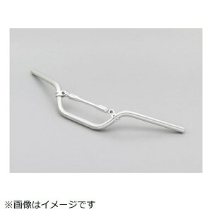 fCgibDAYTONA Cho[2iMIDjVo[iAPEnpj 65662