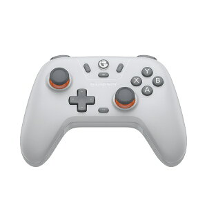 GameSirbQ[T[ z[GtFNgZT[ڃRg[[ WindowsPC/Switch/Android/iOSΉ GameSir Nova Lite Ash GrayySwitch/PCz
