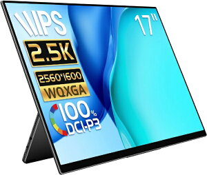 yGg[ōőSz|CgҌb11/5z EHOMEWEIbC[z[EFC USB-Cڑ oCj^[ RV[Y RQ-170NW [17^ /WQXGA(2560×1600j /Ch /60Hz]