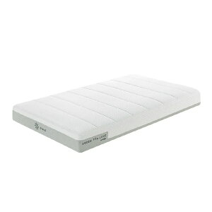 ZINUSbWkX y}bgXz Green Tea Lux |PbgRC}bgX 20cm ZJMSHAG108SD [Z~_uTCY]yLZEԕisz yzsz