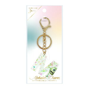 PGAbs[W[G[ At@xbg`[ Premium Style }CN PG-DCM26MOI