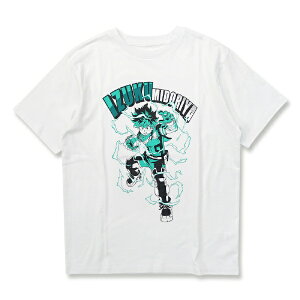 t@CvXbFINE PLUS l̃q[[AJf~A TVc qAJ fN  LTCY zCg 22863220