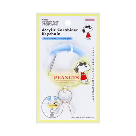 サンスター文具｜sun-star アクリルカラビナキーホルダー PEANUTS Bon Voyage! ジョー・クール S8347638