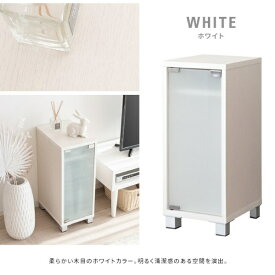 宮武製作所｜MiyatakeSeisakusyo デザイナーズゲームラック REGABO（レガボ）タイプ4【PS5】