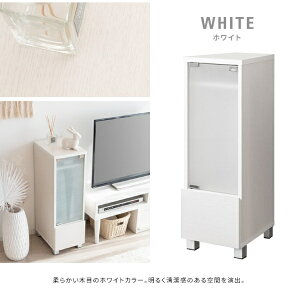 yGg[ōőSz|CgҌb11/27z {쏊bMiyatakeSeisakusyo fUCi[YQ[bN REGABOiK{j^Cv3yPS5z