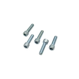 エスアンドエスサイクル｜S&S Cycle Inc スクリュー3/8-16 x 1-3/8 5ケ入り 50-0178