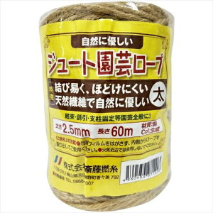 ֓QbSAITO W[g|Ђ  60m 2.5mm