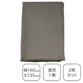 青木｜AOKI 2枚組 遮光カーテン ライエル ベージュ [幅100×丈135cm /遮光1級]