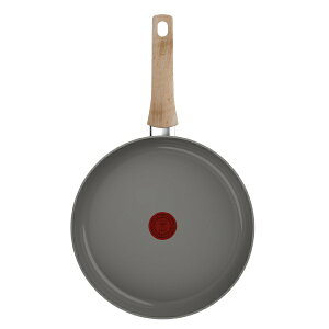 T-falbeBt@[ IHZ~bNOCh A[XO[ tCp 28cm T-FAL C44206 [IHΉ]