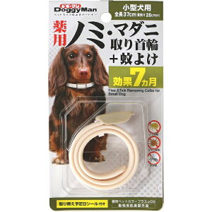 hM[}nVbDoggyMan H.A pm~E}_jց{悯@^p