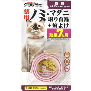 hM[}nVbDoggyMan H.A pm~E}_jց{悯@Lp