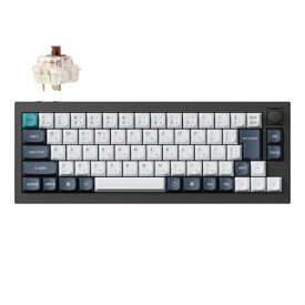 Keychron｜キークロン キーボード Q2 Max(茶軸) カーボンブラック Q2M-M3-JIS [有線・ワイヤレス /Bluetooth・USB-A＋USB-C]