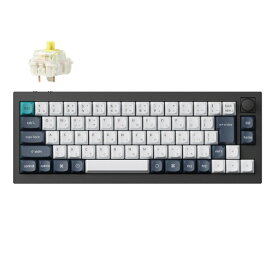 Keychron｜キークロン キーボード Q2 Max(バナナ軸) カーボンブラック Q2M-M4-JIS [有線・ワイヤレス /Bluetooth・USB-A＋USB-C]