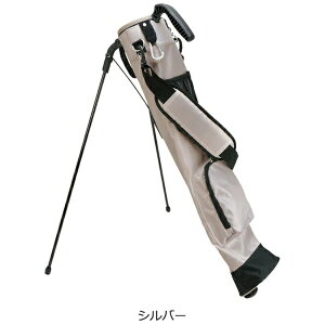 CgbLITE ZtX^hNuP[X NEO Vo[ C-255