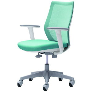 IJbOKAMURA ItBXV[eBO CG-M [bV^Cv /zCgt[] AWXgA[(SLX^[) Z[W CG91XR-FZK6