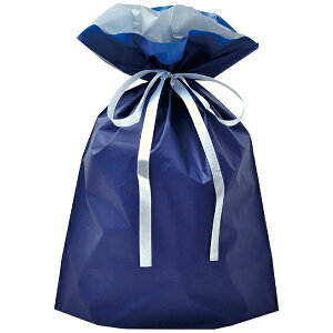 TTKbSASAGAWA В 50 [310×430×D120mm] lCr[ 50-3560