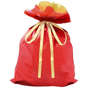 yGg[ōőSz|CgҌb11/27z TTKbSASAGAWA В 50 [450×560×D120mm] bh 50-3659