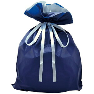 TTKbSASAGAWA В 50 [450×560×D120mm] lCr[ 50-3660