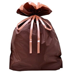 yGg[ōőSz|CgҌb11/27z TTKbSASAGAWA В 50 [450×560×D120mm] uE 50-3661