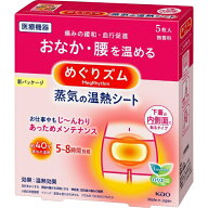 花王｜Kao めぐりズム 蒸気の温熱シート 下着の内側面に貼るタイプ(5枚入)〔温熱〕【rb_pcp】