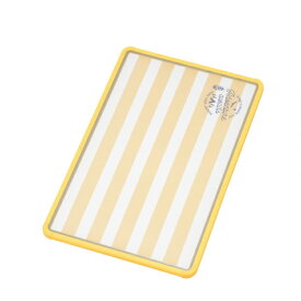 新輝合成｜SHINKIGOSEI 超軽いイラストパレットL(ミラーマット) 4446