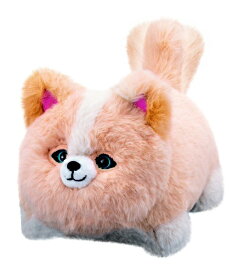 アガツマ｜AGATSUMA ワンだきみは！？