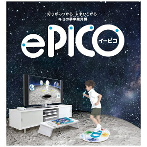 ZKtFCubSEGA Fave ePICOiC[sRj 100GfBV