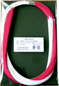 XYLHbSuzukishiko  5{ 30 10P Ԕ 1013