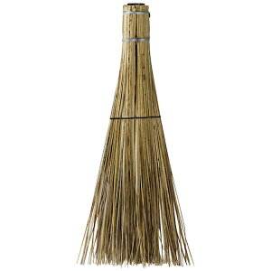 AY}HƁbazuma SY491@Elⴁ@뉀@̂