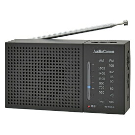 オーム電機｜OHM ELECTRIC ハンディラジオ ブラック RAD-H234N-K [ワイドFM対応 /AM/FM]