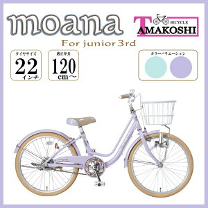 ^}RVbTamakoshi 22^ qǂp] AiWjA3rd(VOVtg) p[v MAN22N3yLZEԕisz yzsz