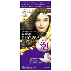 �_�����bDARIYA SALON de PRO�i�T�����h�v���j�A�̃w�A�J���[�E�G�N�X�g�����b�`�i�����p�j 4G �O���[�W��