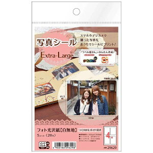 A-onebG[ ʐ^V[ Extra-Large n 29629 [͂ /5V[g /4 /]