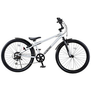 アイデス|ides 24型 子供用自転車 ビーエムエクストリート BMXSTREET(外装6段変速) シルバー 03882【キャンセル・返品不可】 【代金引換配送不可】