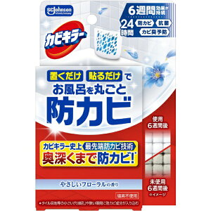 JohnsonbW\ JrL[ CɒuhJrWF ₳t[̍ { 8mL