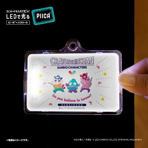 |j[LjIvjObPONYCANYON PLANNING N񂿂×TILN^[Y@rrbgJ[D@PIICAiNAP[Xtj