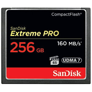SanDiskbTfBXN RpNgtbV ExtremePROiGNXg[vj SDCFXPS-256G-J61 [256GB][SDCFXPS256GJ61]