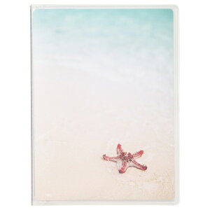 HAKUBAbnNo ytB Aoz P|PbgAoCP ^e LTCY 20[ qgf nNo qgf APCPL20HTD