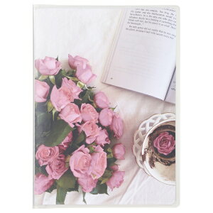 HAKUBAbnNo ytB Aoz P|PbgAoCP R nKLE|XgJ[hEKGTCY 20[ sN[Y nNo sN[Y APCPKGPKR